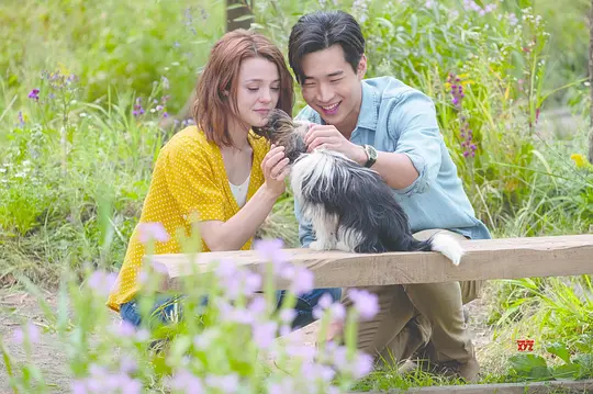 A Dog's Purpose 2
