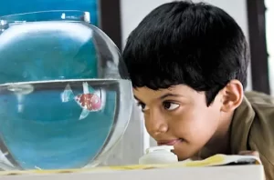 Taare Zameen Par